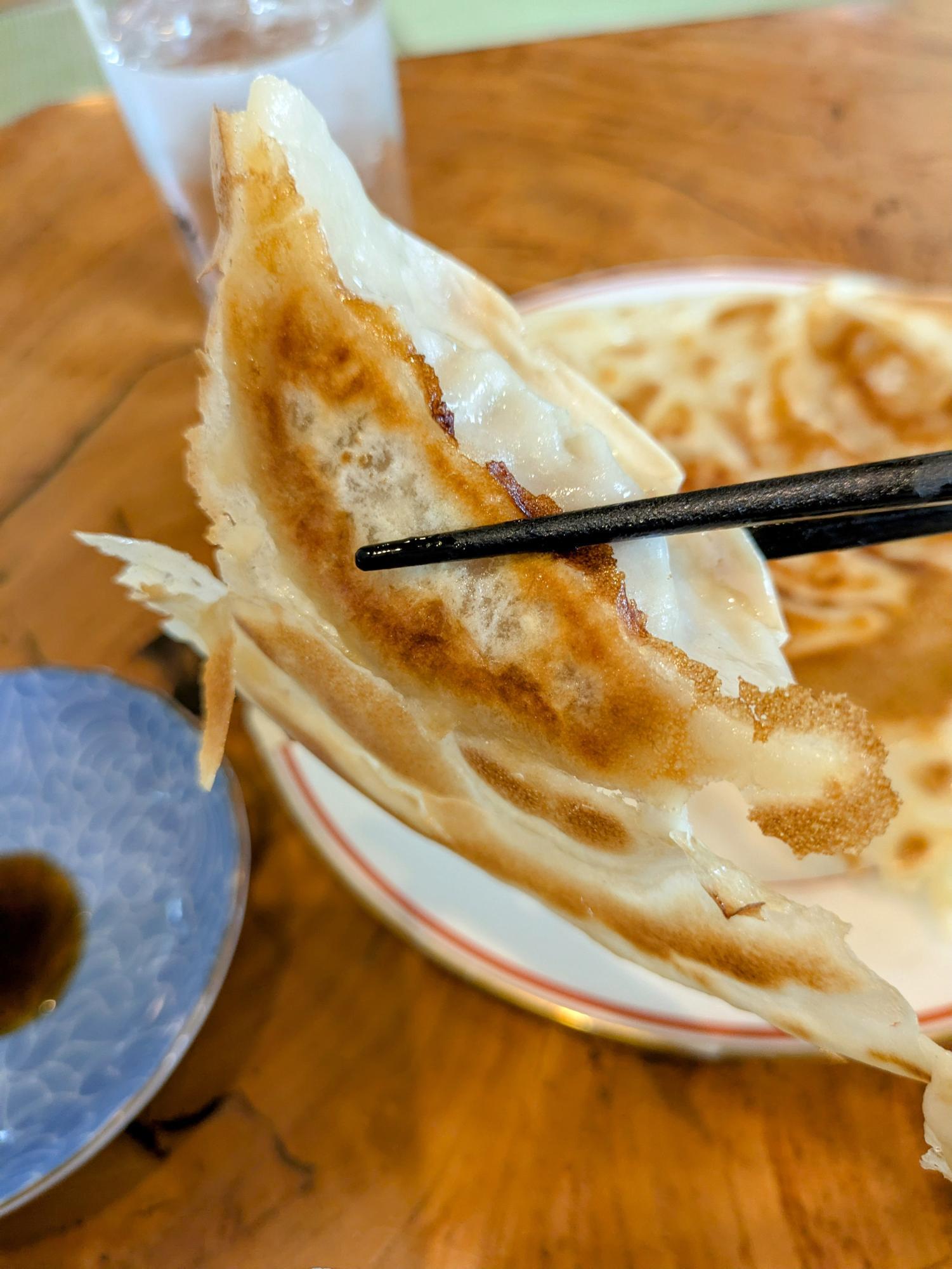 コレが餃子ですよね