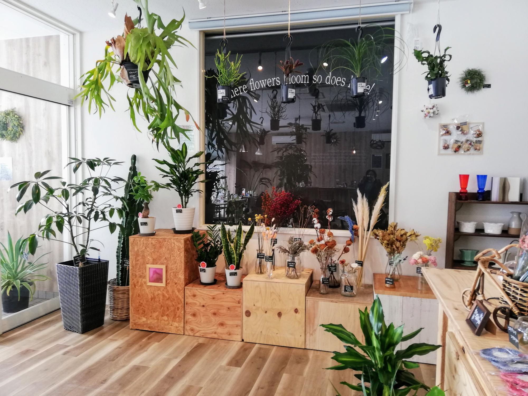 お花と植物もズラリ