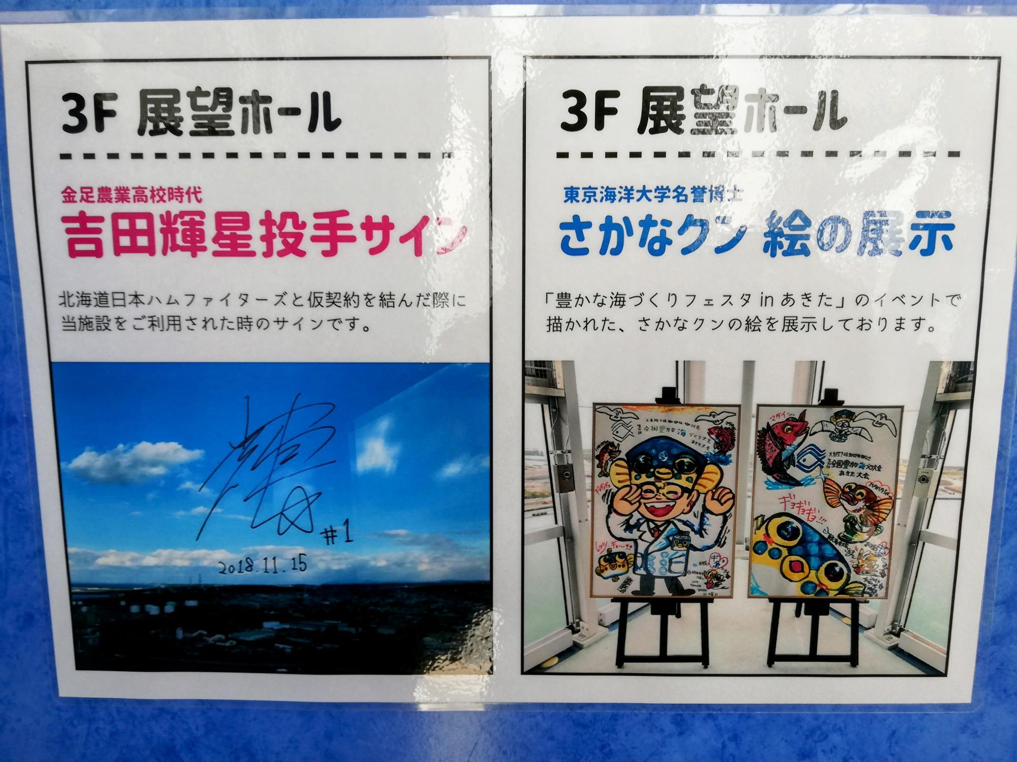 有名人のサインや絵も展示されています